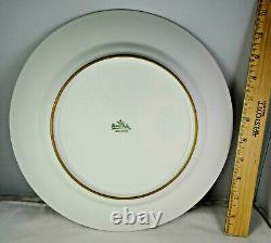 11 Gold Encrusted Rosenthal Selb Bavaria Lg. Porcelain Dinner Service Plates