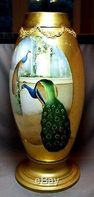 19 Hand Painted Artist Signed Osborne Massive Peacock Vase Heavily Gilded
