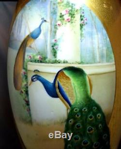 19 Hand Painted Artist Signed Osborne Massive Peacock Vase Heavily Gilded