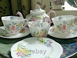 A Pretty Shelley, Dainty, Tea For Two, Wildflowers Pattern, Pink Trim Beautiful