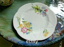 A Pretty Shelley, Dainty, Tea For Two, Wildflowers Pattern, Pink Trim Beautiful