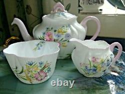 A Pretty Shelley, Dainty, Tea For Two, Wildflowers Pattern, Pink Trim Beautiful