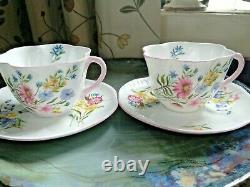 A Pretty Shelley, Dainty, Tea For Two, Wildflowers Pattern, Pink Trim Beautiful