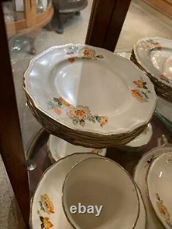 Alfred Meakin Dorian Full Dinner Service