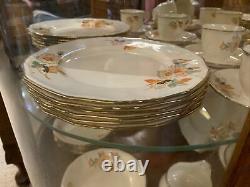 Alfred Meakin Dorian Full Dinner Service