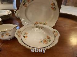 Alfred Meakin Dorian Full Dinner Service