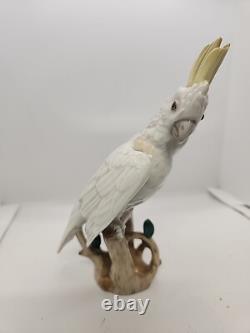 Antique Austria Vienna Wien Augarten Art Deco Cockatoo Bird Porcelain Figurine