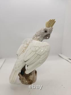 Antique Austria Vienna Wien Augarten Art Deco Cockatoo Bird Porcelain Figurine