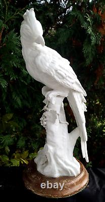 Antique Ceramic / Porcelain Parrot Bird Art Sculpture VERY DETAILED BEAUTY