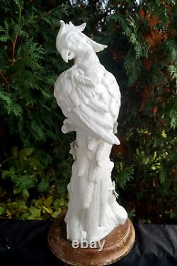 Antique Ceramic / Porcelain Parrot Bird Art Sculpture VERY DETAILED BEAUTY