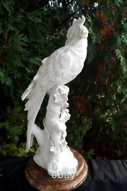 Antique Ceramic / Porcelain Parrot Bird Art Sculpture VERY DETAILED BEAUTY