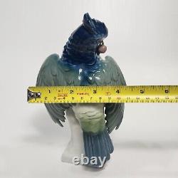 Antique German 8 Galluba & Hofmann Porcelain Bird Parrot Cockatoo Figurine 1900