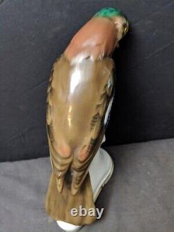 Antique German Bavaria Porcelain Bird Figure Signed By Behscherzer