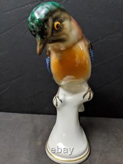 Antique German Bavaria Porcelain Bird Figure Signed By Behscherzer