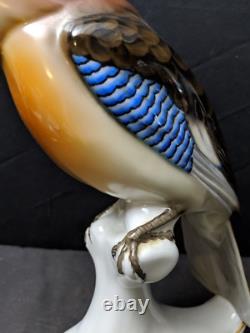 Antique German Bavaria Porcelain Bird Figure Signed By Behscherzer