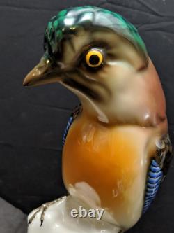 Antique German Bavaria Porcelain Bird Figure Signed By Behscherzer