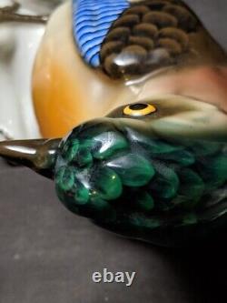 Antique German Bavaria Porcelain Bird Figure Signed By Behscherzer