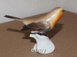 Antique Nymphenburg Porcelain Figurine Bird Warbler T Karner Germany 5 long