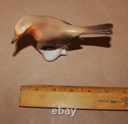 Antique Nymphenburg Porcelain Figurine Bird Warbler T Karner Germany 5 long