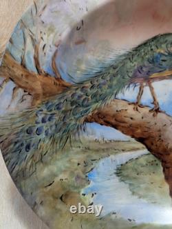 Antique Peacock Porcelain Plate Art Deco 1935, 8 1/2 In