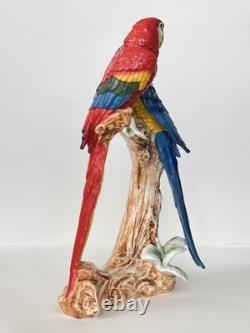 Antique Porcelain Macaw Parrots Bird Figurine Capodimonte 14 Art Deco 1910-s