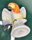 Antique Rosenthal Germany Porcelain Hand Painted Parrot Figurine