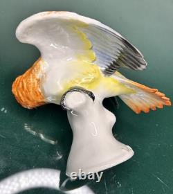 Antique Rosenthal Germany Porcelain Hand Painted Parrot Figurine