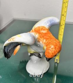 Antique Rosenthal Germany Porcelain Hand Painted Parrot Figurine