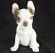 Art Deco Rosenthal Porcelain French Bulldog Thekla Harth-altmann C1913