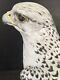 Augarten Large Art Deco Lifesize Porcelain Falcon Hawk Bird Aigner Gyrfalcon