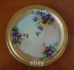 Bavaria Chocolate Tea Pot & Limoges Trivet, Handpainted Violets, Schindler