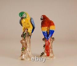 German Porcelain Parrots Macaw Africa Art Deco Dresden style bird figure a pair