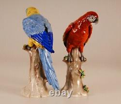 German Porcelain Parrots Macaw Africa Art Deco Dresden style bird figure a pair