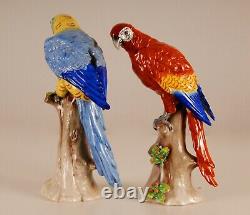 German Porcelain Parrots Macaw Africa Art Deco Dresden style bird figure a pair