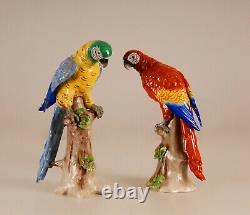 German Porcelain Parrots Macaw Africa Art Deco Dresden style bird figure a pair