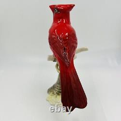 Hutschenreuther Cardinal Bird Figurine Kunstabteilung Porcelain Red Home Decor
