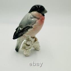 Karl Ens Bird Bullfinch Germany Antique Porcelain Statue Figurine Marked Rare