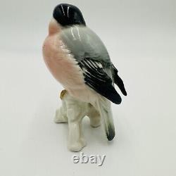 Karl Ens Bird Bullfinch Germany Antique Porcelain Statue Figurine Marked Rare