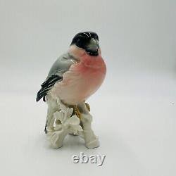 Karl Ens Bird Bullfinch Germany Antique Porcelain Statue Figurine Marked Rare