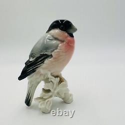 Karl Ens Bird Bullfinch Germany Antique Porcelain Statue Figurine Marked Rare