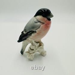 Karl Ens Bird Bullfinch Germany Antique Porcelain Statue Figurine Marked Rare