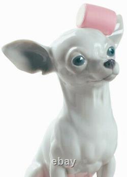 Lladro Chihuahua With Marshmallows #9191 Brand New In Box Cute Dog Save$$ F/sh