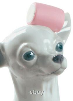Lladro Chihuahua With Marshmallows #9191 Brand New In Box Cute Dog Save$$ F/sh