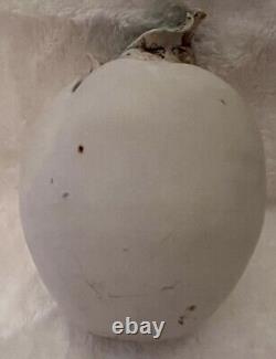 MCM Art Deco Pottery Porcelain Vase Signed Egg Shaped Use For Flowers Etc READ