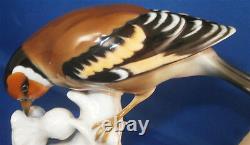 Nice 20thC Schwarzburger Werkstatten Porcelain Bird Figure Porzellan Vogel Figur