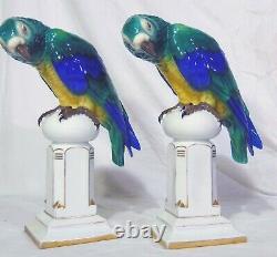 Pr Art Deco German Porcelain Behscherzer Parrot Macaw Figures Blue Green Yellow