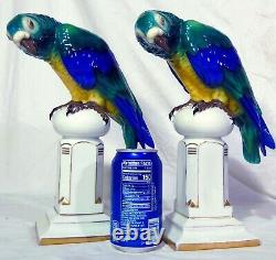 Pr Art Deco German Porcelain Behscherzer Parrot Macaw Figures Blue Green Yellow