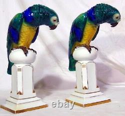 Pr Art Deco German Porcelain Behscherzer Parrot Macaw Figures Blue Green Yellow