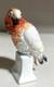Rosenthal Porcelain Parrot Art Deco Bird Figurine 22 Moldenhauer