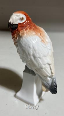 Rosenthal Porcelain Parrot Art deco Bird Figurine 22 Moldenhauer